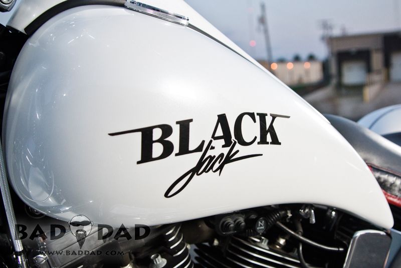 Baggers | :: Darron's Springer | Bad Dad | Custom Bagger ... summit wiring harness 